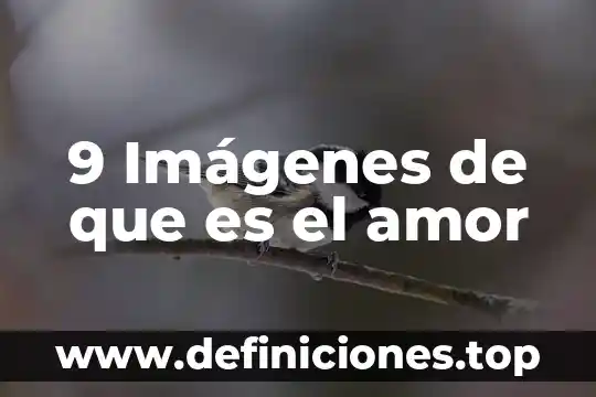 Sabes que es el amor 5 9 Imágenes de que es el amor