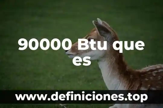 90000 Btu que es