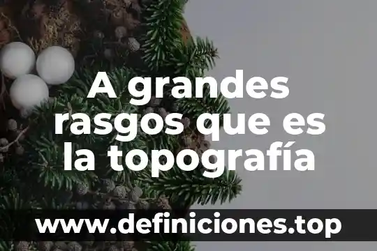 Que es la participacion no controladora 5 A grandes rasgos que es la topografía