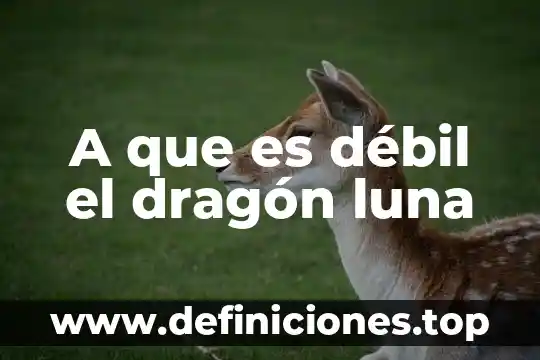 A que es débil el dragón luna