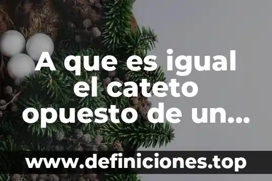 A que es igual un kilonewton 3 A que es igual el cateto opuesto de un triangulo