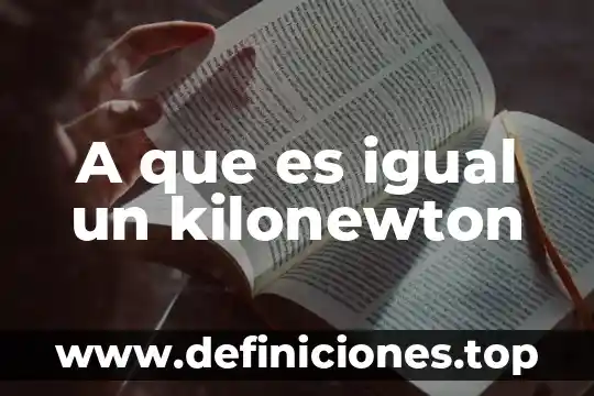 A qué es igual un litro 3 A que es igual un kilonewton