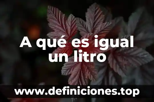 A que es igual un kilonewton 5 A qué es igual un litro
