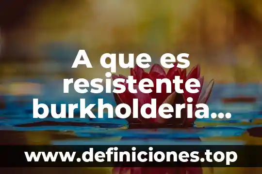 A posteriori que es 6 A que es resistente burkholderia cepacia