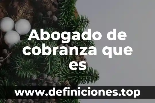 Abogado económico que es 7 Abogado de cobranza que es