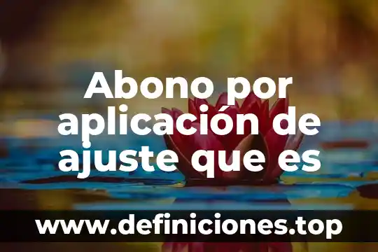 Abono de edc que es 3 Abono por aplicación de ajuste que es