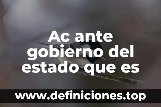 Ac ante gobierno del estado que es