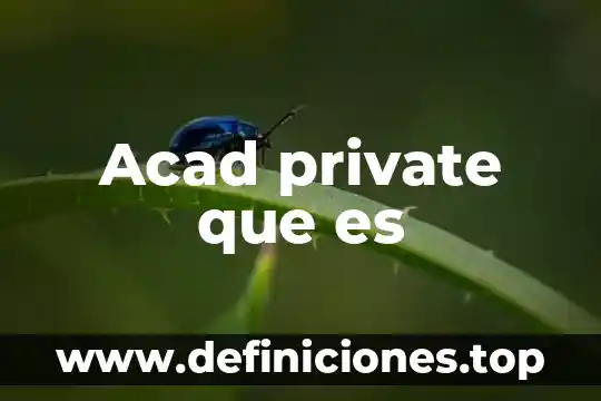 Acad private que es