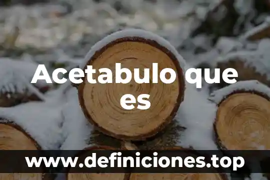 Que es un electroiman y de que depende su fuerza 5 Acetabulo que es