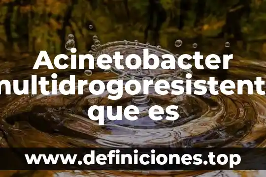 Acinetobacter multidrogoresistente que es