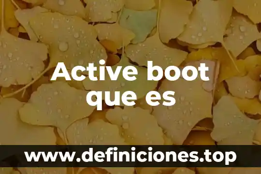 Active demand que es 4 Active boot que es