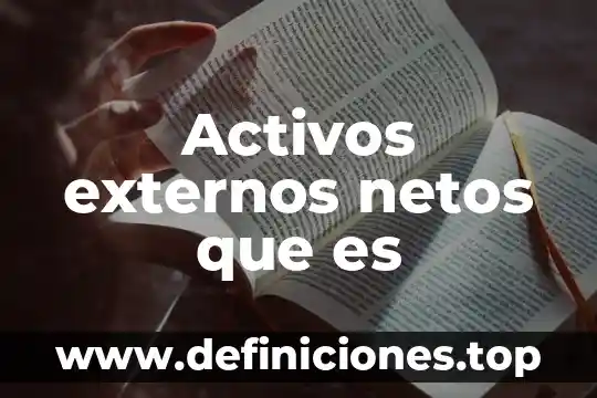 Activos externos netos que es