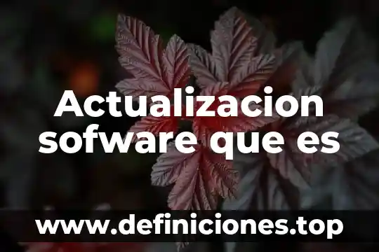 Que es un juego deportes de conjunto 5 Actualizacion sofware que es