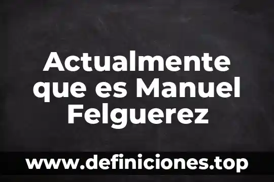 Que es ataviar definicion 3 Actualmente que es Manuel Felguerez
