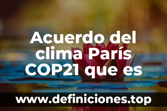 Que es el convenio de paris resumen 4 Acuerdo del clima París COP21 que es