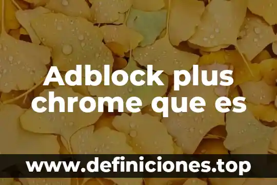 Que es el seguro libra plus de banamex 3 Adblock plus chrome que es