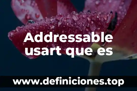 Dimen activity_vertical_margin que es 7 Addressable usart que es