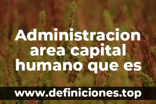 Que es el finaciamiento de capital de trabajo 5 Administracion area capital humano que es