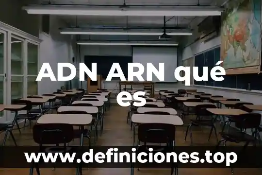 Que es el arn ejemplo 3 ADN ARN qué es
