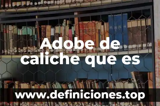 Que es el programa adobe flash cs5 7 Adobe de caliche que es