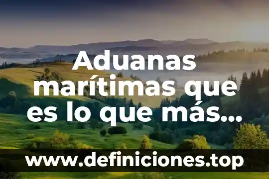 Aduanas marítimas que es lo que más transportan