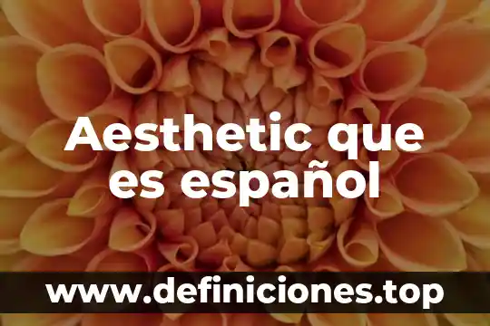Aesthetic que es español