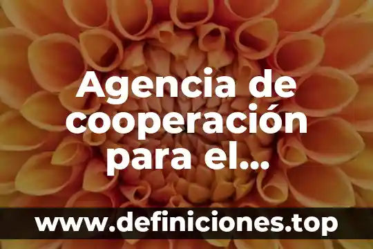 Agencia de cooperación para el desarrollo que es