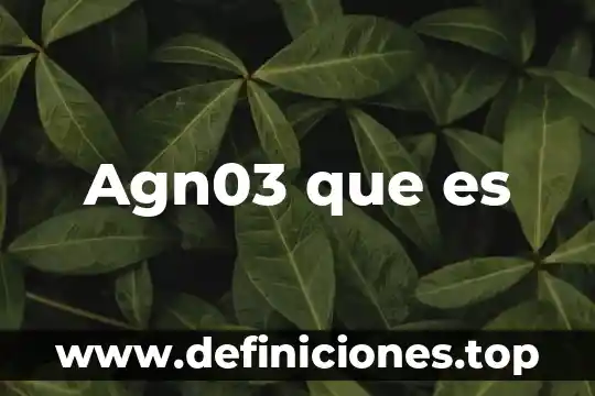 Agn03 que es