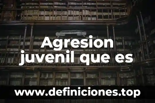Agresion juvenil que es