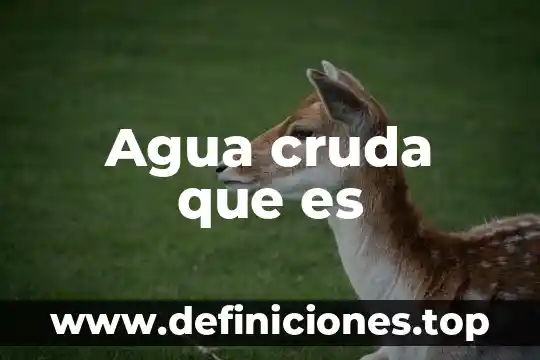 Agua cruda que es