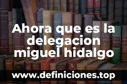 Ahora que es la delegacion miguel hidalgo