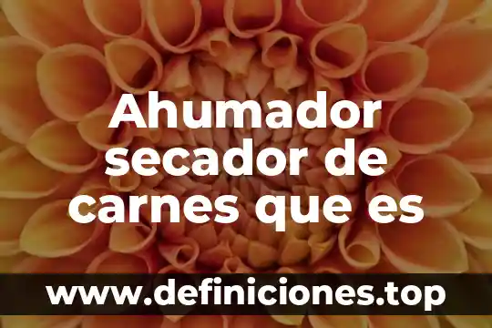 Ahumador secador de carnes que es