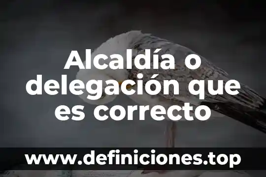 Alcaldía o delegación que es correcto