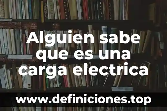 Alguien sabe que es una carga electrica