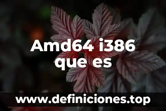 Amd64 i386 que es