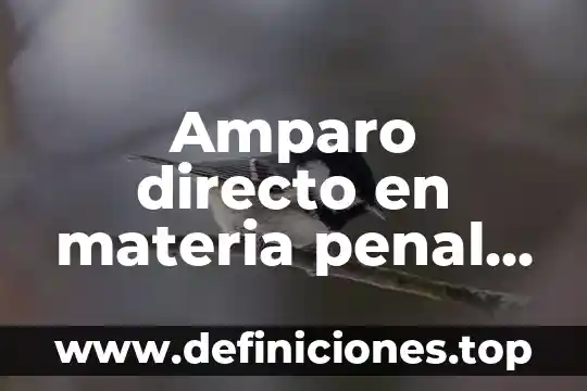 Amparo directo en materia penal que es