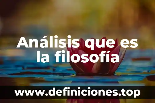 Análisis que es la filosofía