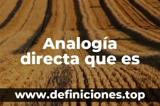 Analogía directa que es