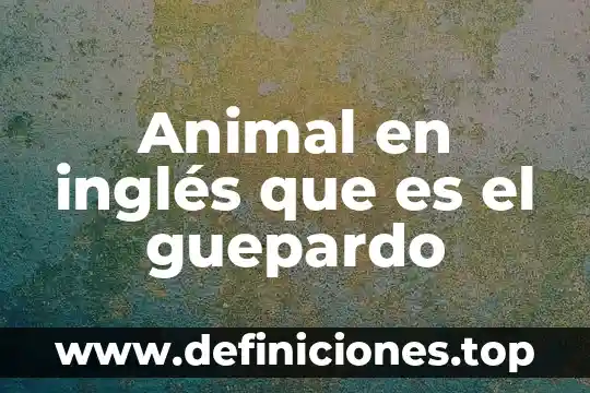 Que es be en ingles 5 Animal en inglés que es el guepardo