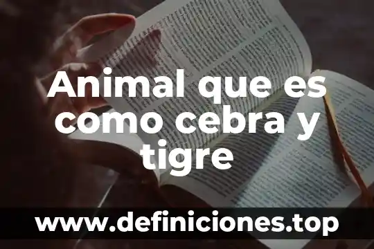 Animal que es como cebra y tigre
