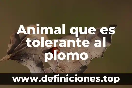 Que es plomo y para que sirve 5 Animal que es tolerante al plomo