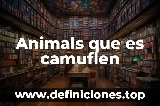 Que es forma de conjunto 4 Animals que es camuflen