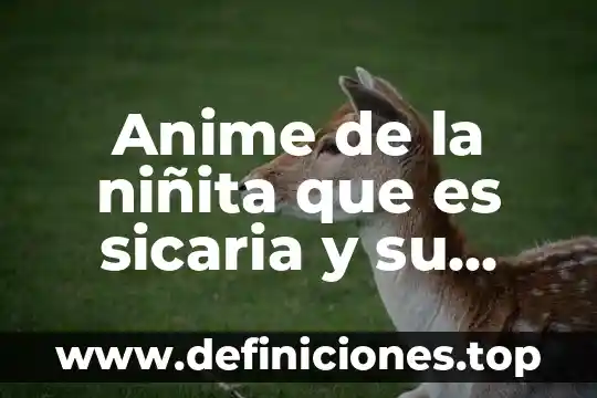 Que es jojo anime 8 Anime de la niñita que es sicaria y su amiga