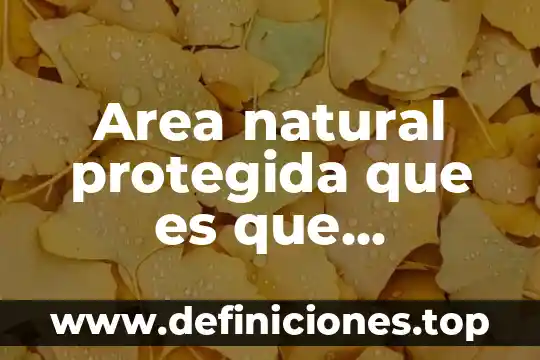 Que es un área protegida en ecologia 6 Area natural protegida que es que relevancia