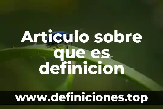 Articulo sobre que es definicion