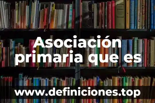 Que es el perimetro para primaria 5 Asociación primaria que es
