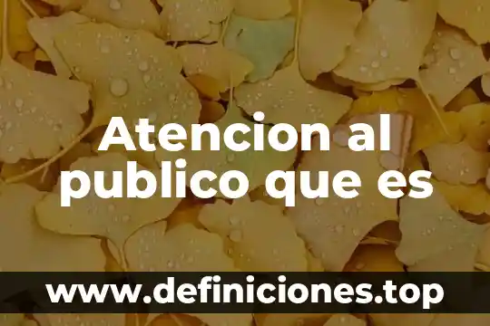 Que es la atencion de primer nivel 3 Atencion al publico que es