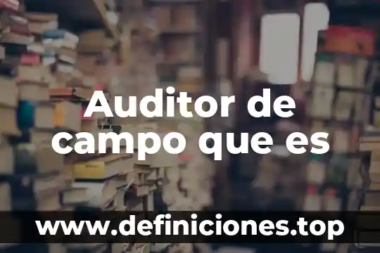 Campo gravitacional que es 7 Auditor de campo que es