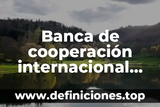 Que es un indice en una banca 6 Banca de cooperación internacional que es