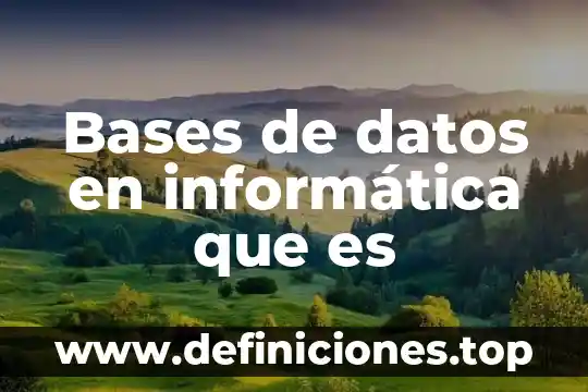Qué es base de datos en informática administrativa 5 Bases de datos en informática que es
